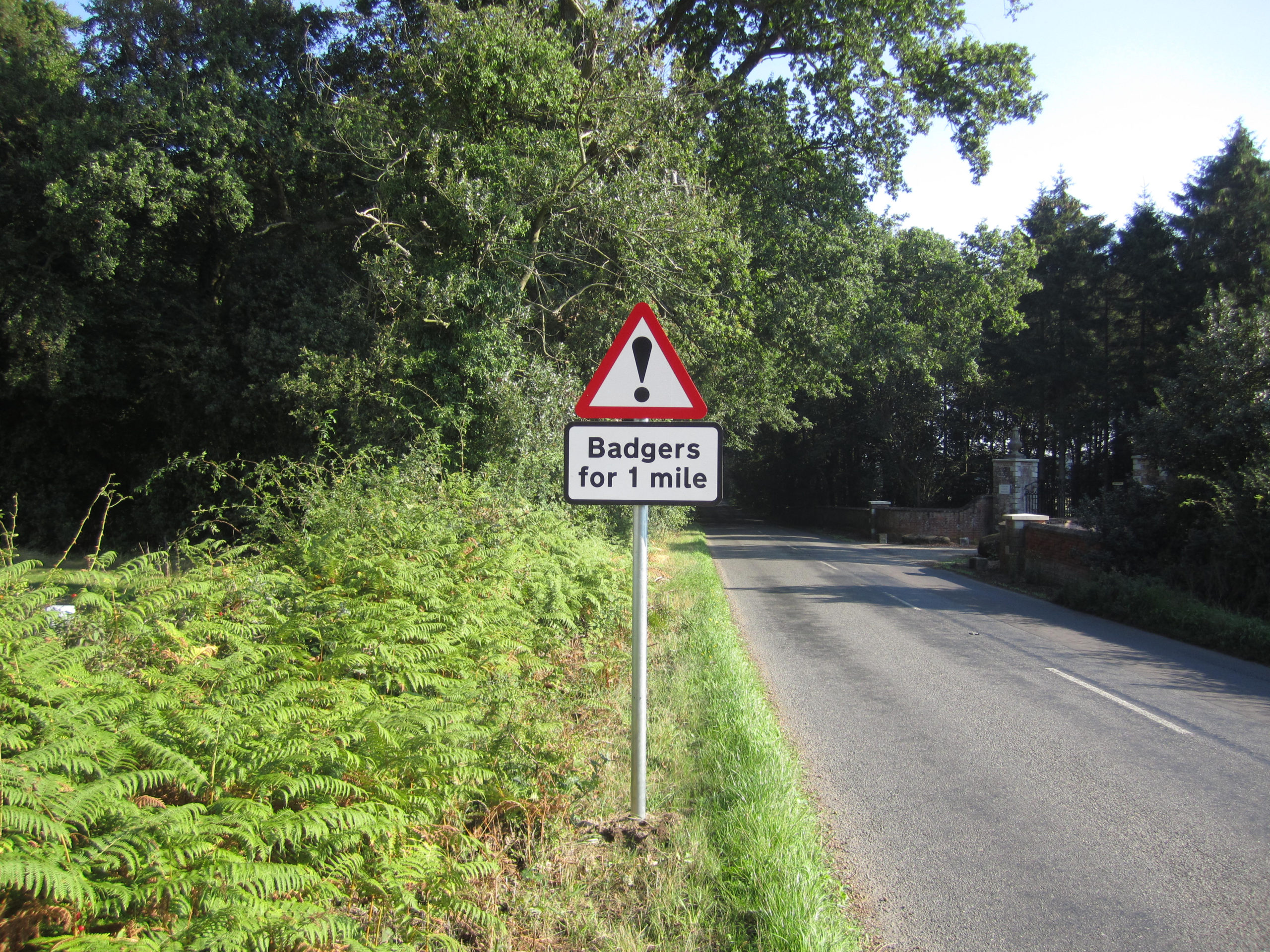 Badges ahead road sign - TB Hub