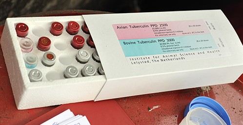 Bovine & Avian Tuberculin - TB Hub