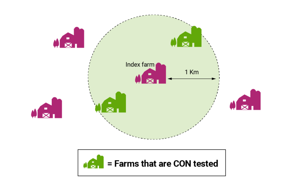 CON tested farm diagram - Bovine TB