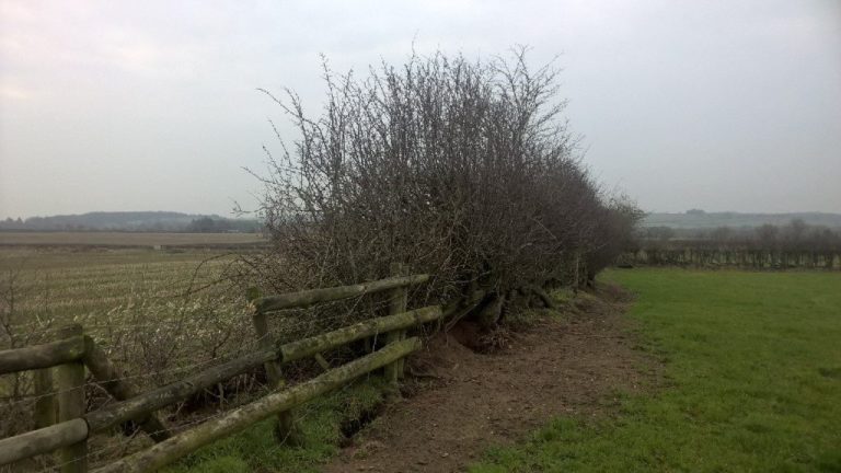 Fencing before improvement to the boundary fence