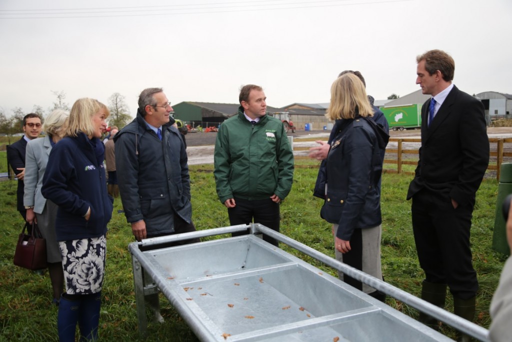 Group of people discussing troughs on a farm - TB hub