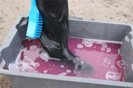 Disinfectant footbath TB hub