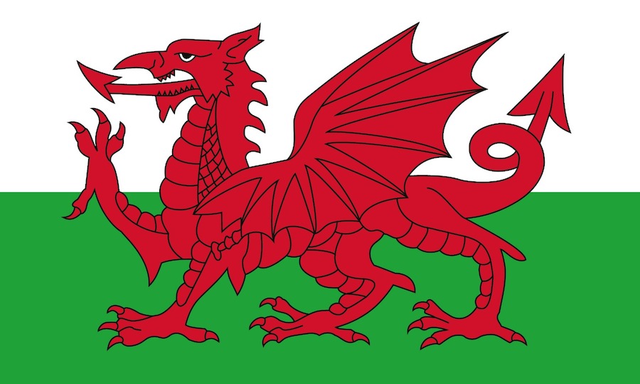 Wales Flag - Bovine TB