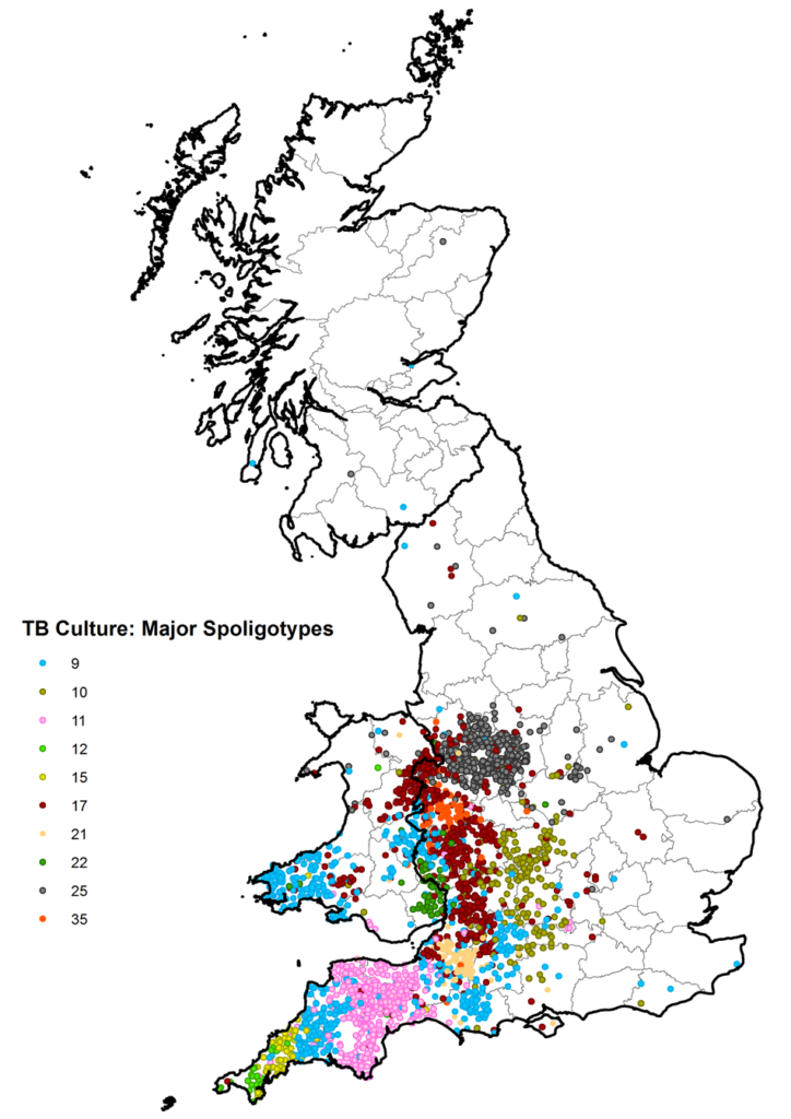 About Bovine TB - Bovine TB | TB Hub