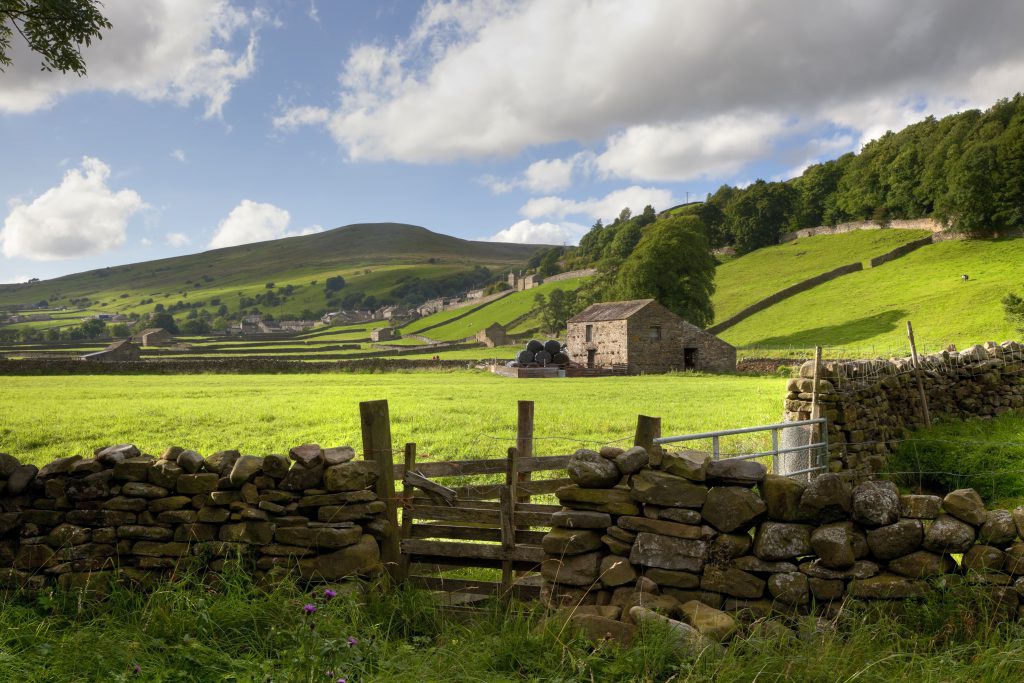 TB Isolation Units in England and Wales - Bovine TB | TB Hub