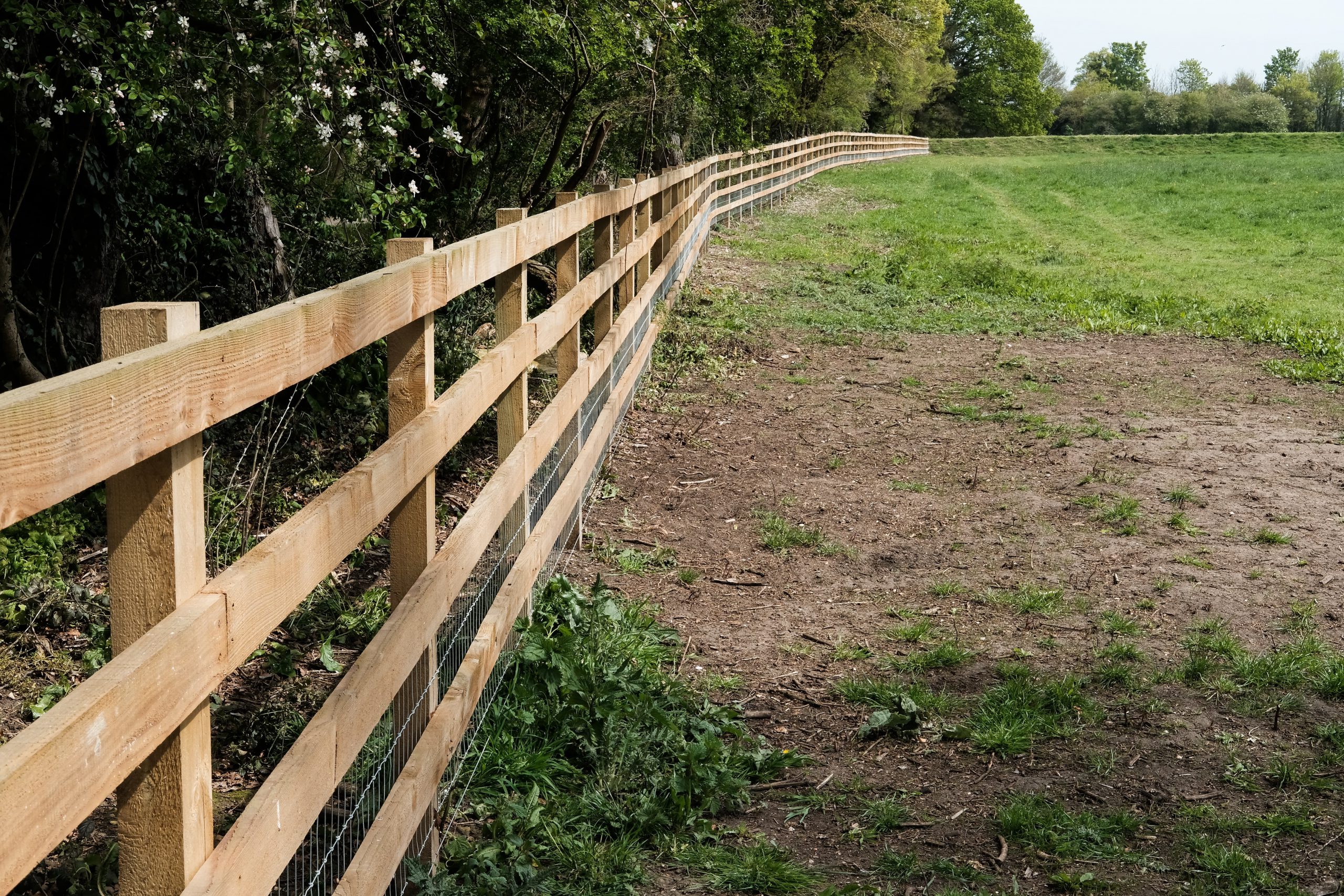 Farm fencing - Bovine TB