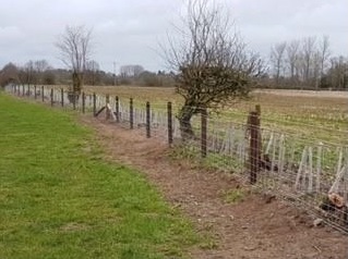 Fencing after the farmer underwent extensive fencing on the farm