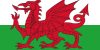 Wales Flag - Bovine TB