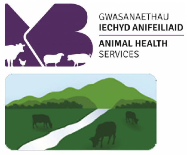 Welsh veterinary delivery partner logos